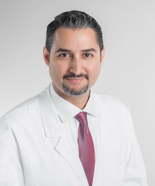 Dr. Al Haitham Al Shetawi